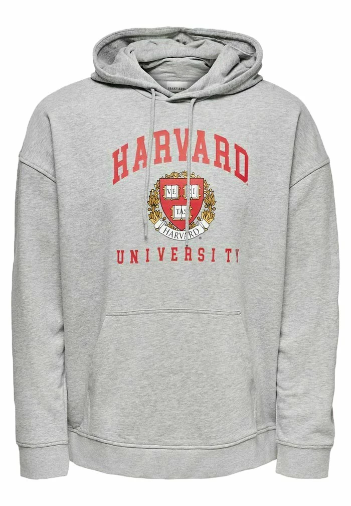 Meilleur prix 🛒 Only & Sons Sweat à Capuche - Light Grey Melange 🛒 5 Meilleur prix 🛒 Only & Sons Sweat à Capuche - Light Grey Melange 🛒 – Image 5