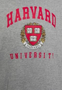 Le moins cher ⌛ Only & Sons ONSHARVARD HOODIE UNISEX - Sweatshirt - Light Grey Melange 🌟 5 Le moins cher ⌛ Only & Sons ONSHARVARD HOODIE UNISEX - Sweatshirt - Light Grey Melange 🌟 -Boutique Only & Sons 93e97db9c328407e9faf1c072287102c