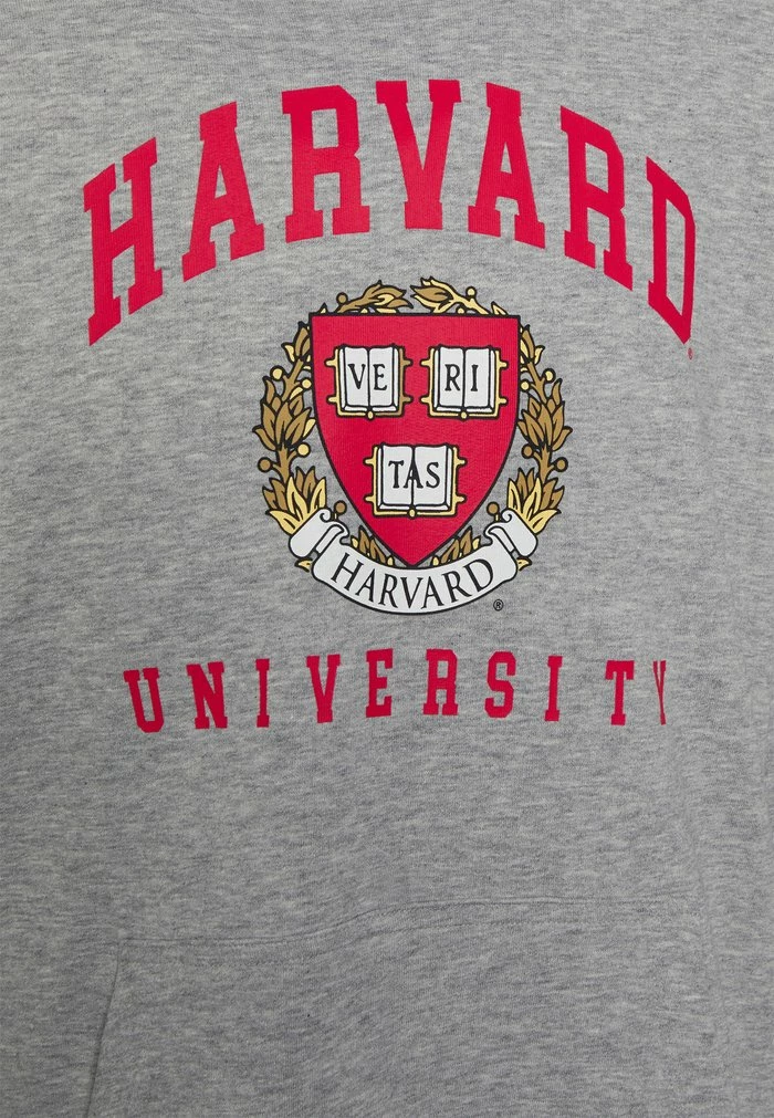 Le moins cher ⌛ Only & Sons ONSHARVARD HOODIE UNISEX - Sweatshirt - Light Grey Melange 🌟 3 Le moins cher ⌛ Only & Sons ONSHARVARD HOODIE UNISEX - Sweatshirt - Light Grey Melange 🌟 – Image 3