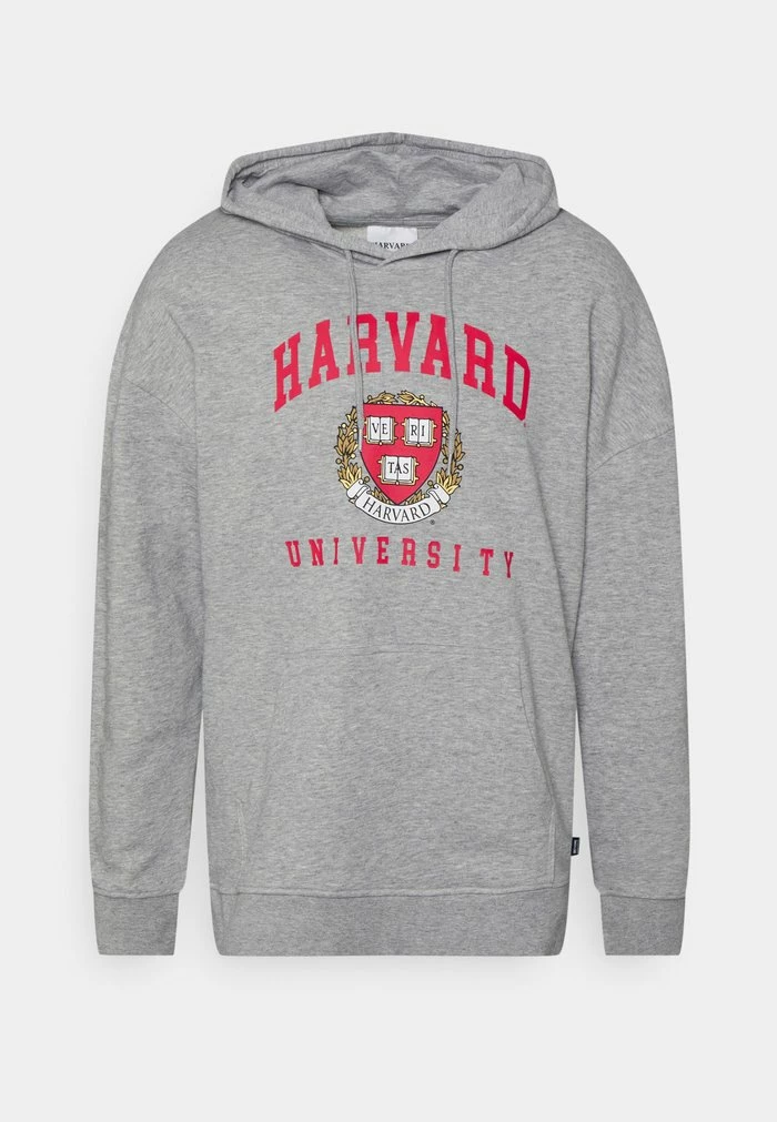 Le moins cher ⌛ Only & Sons ONSHARVARD HOODIE UNISEX - Sweatshirt - Light Grey Melange 🌟 1 Le moins cher ⌛ Only & Sons ONSHARVARD HOODIE UNISEX - Sweatshirt - Light Grey Melange 🌟