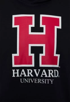 Le moins cher 🧨 Only & Sons ONSHARVARD HOODIE UNISEX - Sweatshirt - Black ✔️ -Boutique Only & Sons d0930e0bf15c410695d4766854dd417b