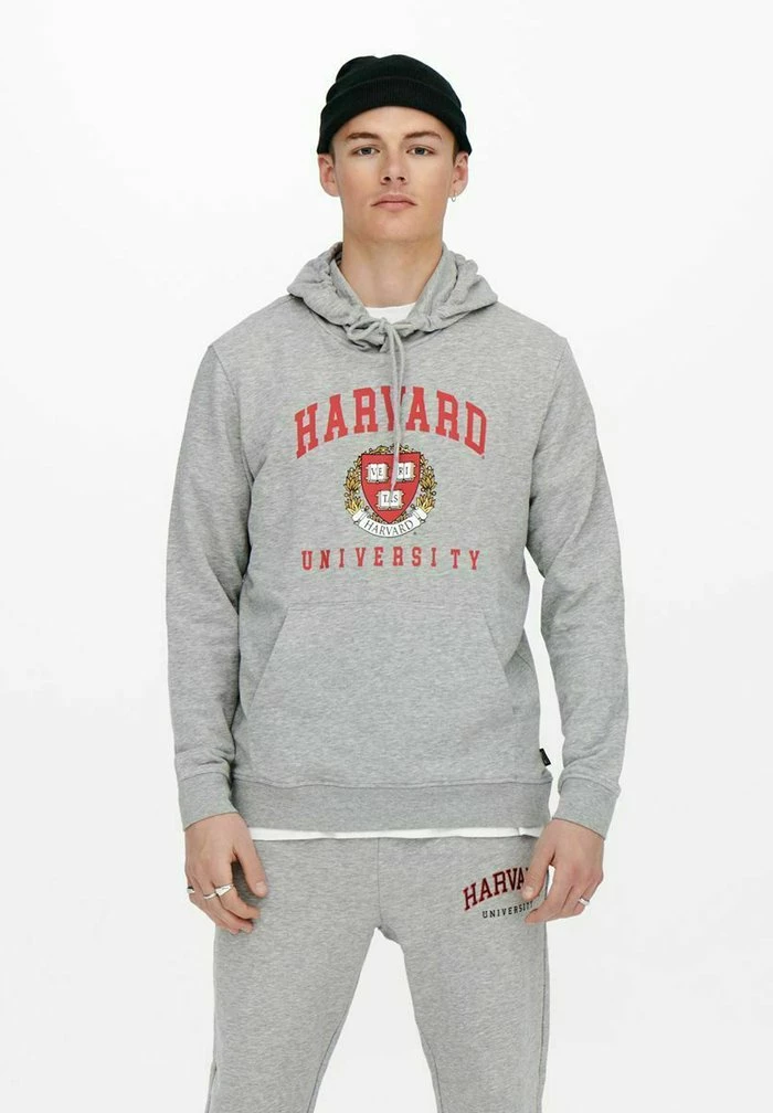 Meilleur prix 🛒 Only & Sons Sweat à Capuche - Light Grey Melange 🛒 1 Meilleur prix 🛒 Only & Sons Sweat à Capuche - Light Grey Melange 🛒